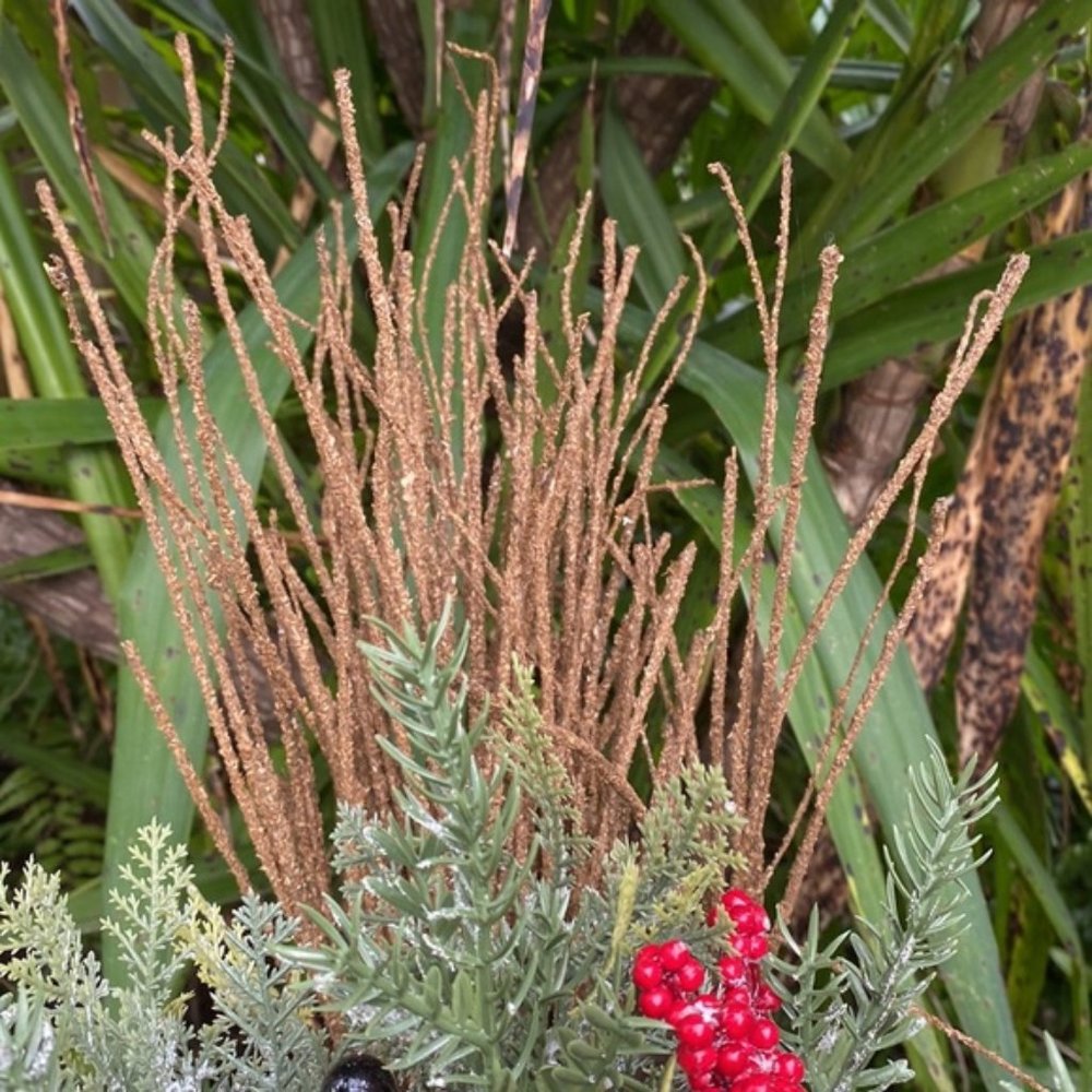 Rustic wired branches - Picture 5 of 8